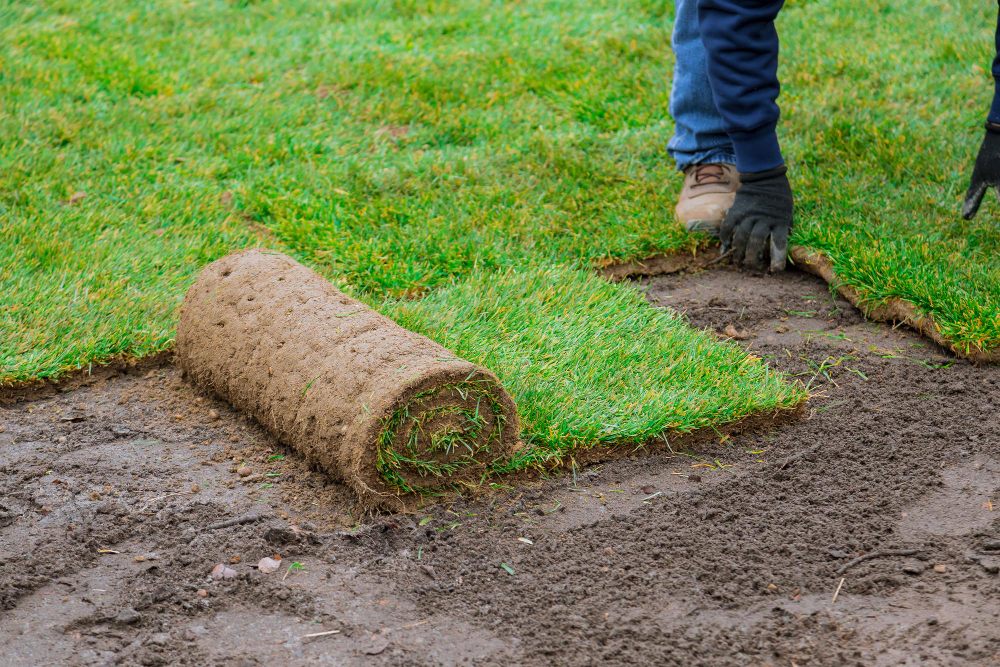 How to Prepare to Lay Sod for a Lush Lawn