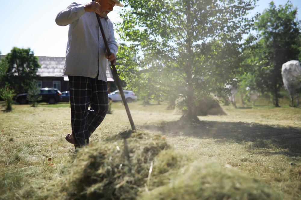 The Ultimate Guide to Controlling Weeds in Your Lawn