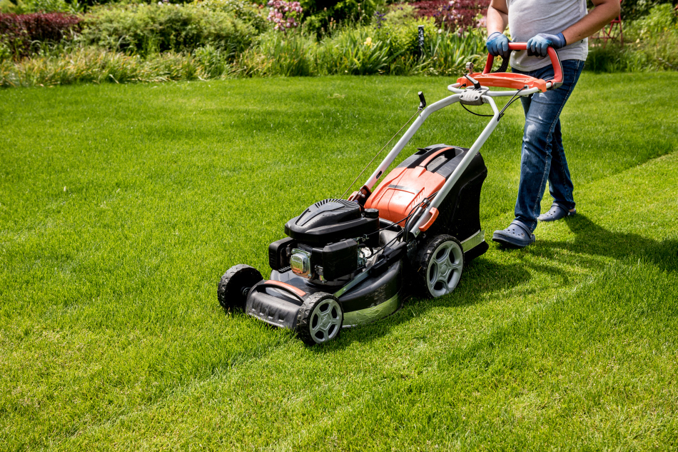 Tips for Achieving the Perfect Lawn Height