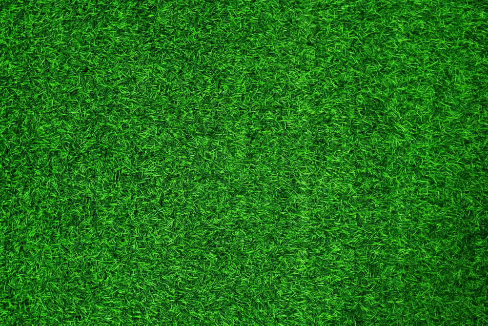 Tips for Minimal Yard Maintenance: Artificial Grass Installation in Florida