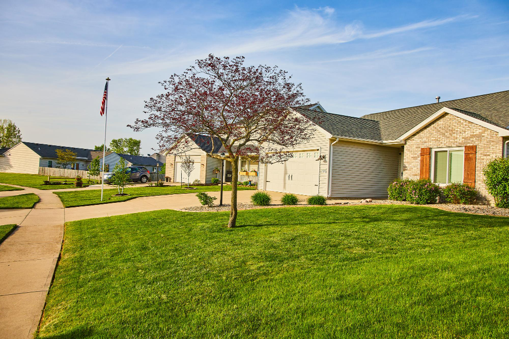 The Benefits of Sod vs Grass Seed for Establishing a Lawn