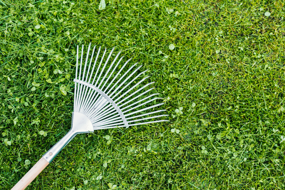 Achieve a Lush and Healthy Lawn through these Turf Care Recommendations