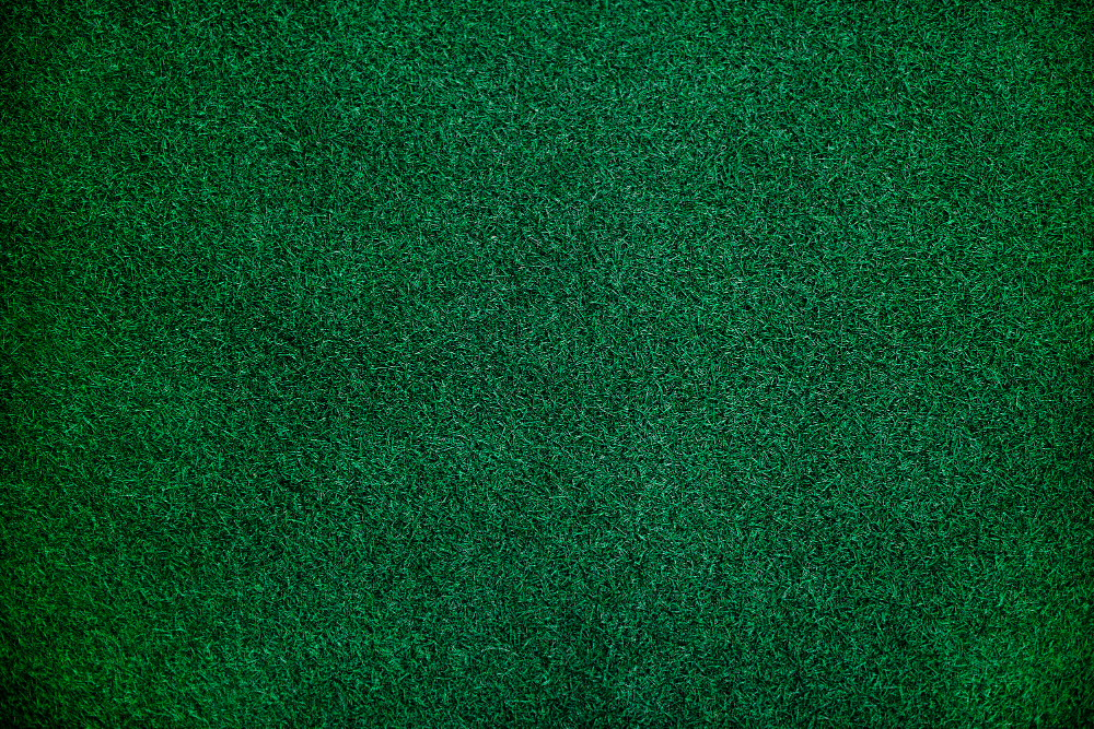Synthetic Turf vs. Natural Grass: Which Is Right for You?