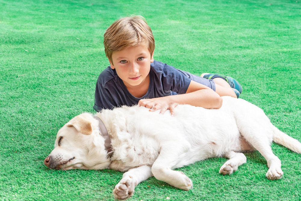 Is Artificial Grass Safe for Pets and Kids? Here's What You Need to Know