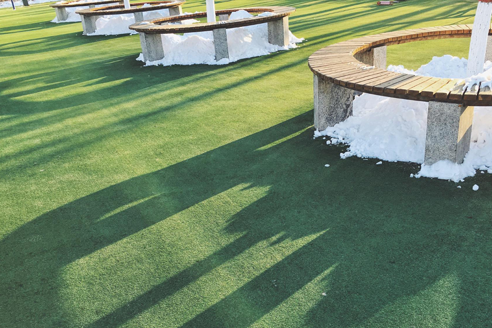 Tips to Create a Stunning Landscape