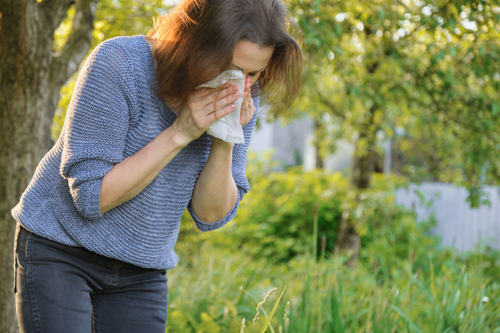 How Artificial Grass Helps in Managing Allergies