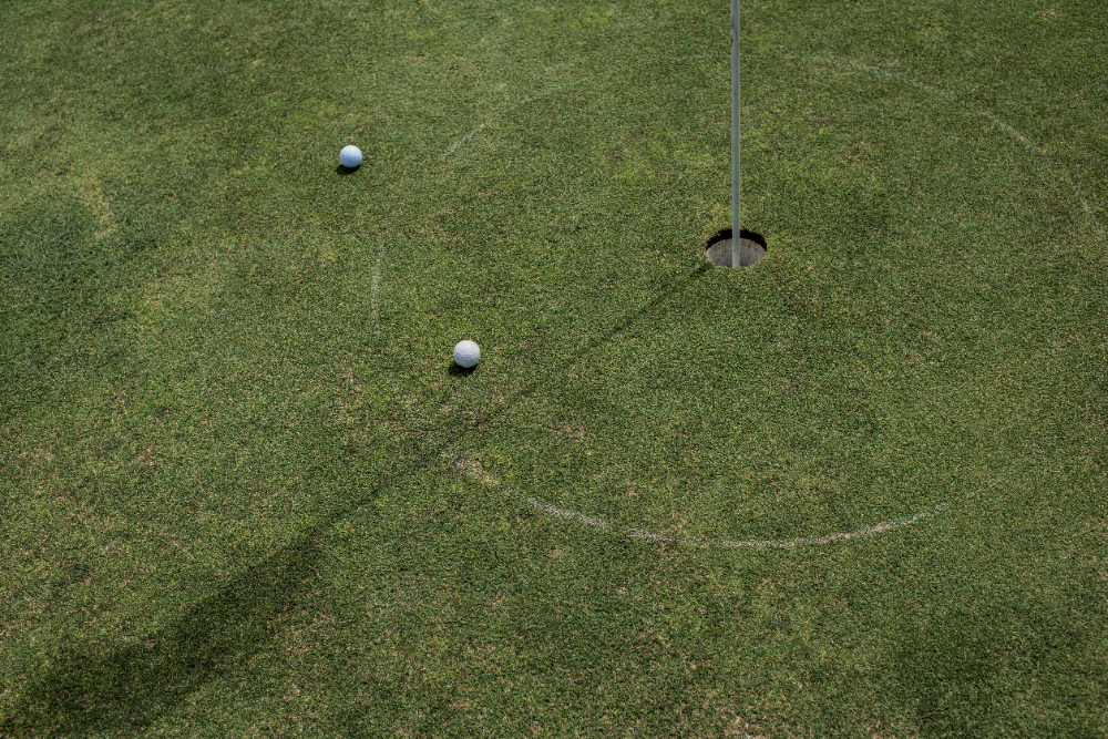 Artificial Grass vs Organic Sod for Putting Green Turf in Florida