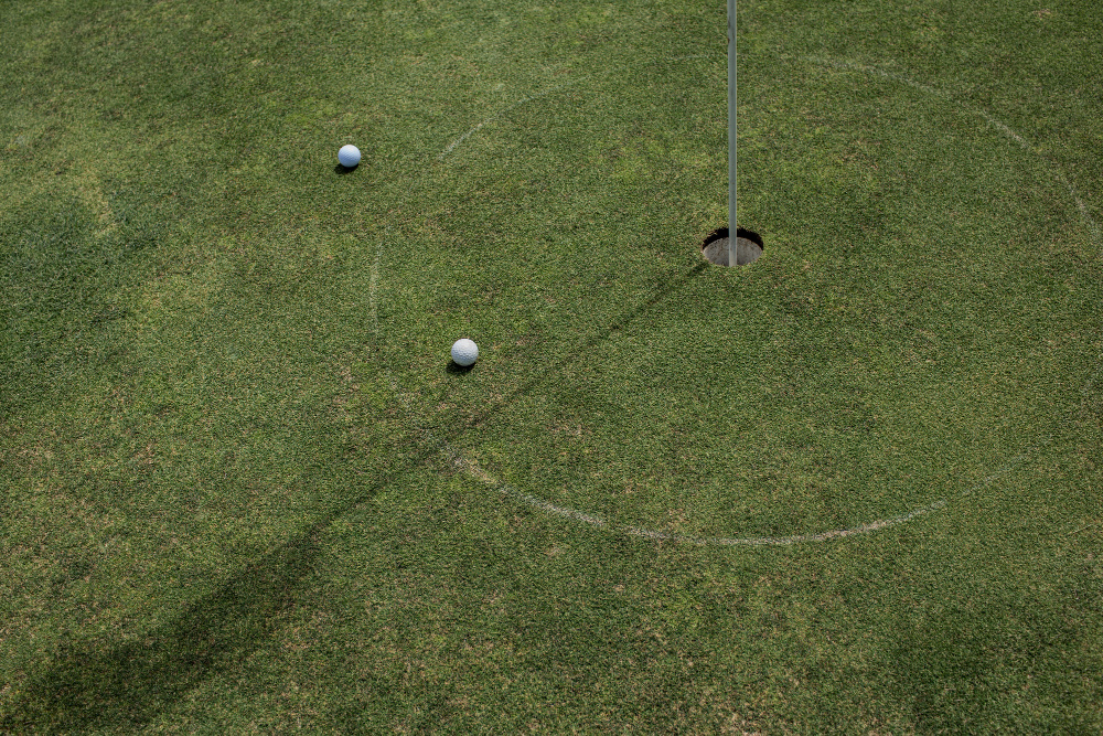 Compelling Reasons to Install an Artificial Putting Green in Your Backyard