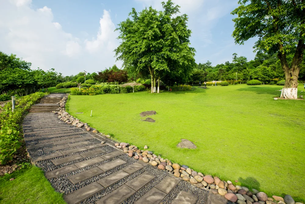Beautiful Edging Ideas For Your New Sod Lawn