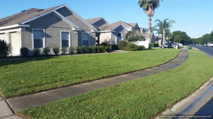 Beautiful front yard lawn