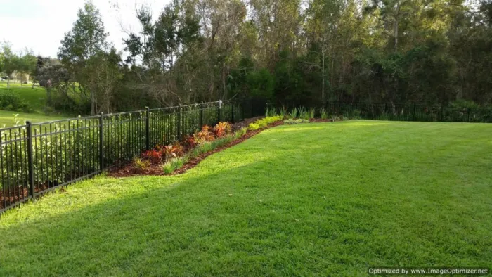 Backyard natural grass sod installation