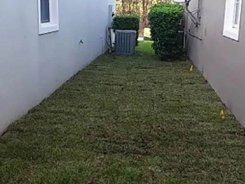 Narrow side yard covered with new sod between two houses