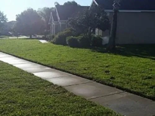 Sod lawn along a sidewalk in a shaded neighborhood
