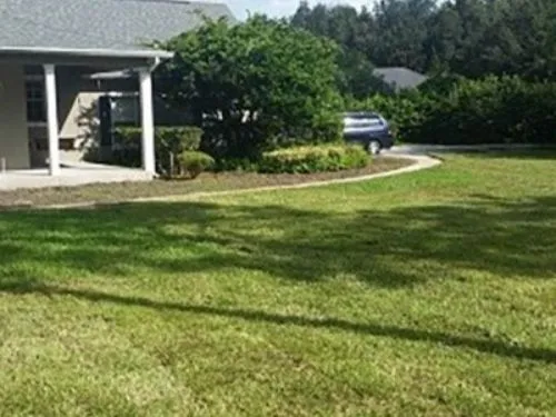Curving sod lawn beside a driveway and covered porch