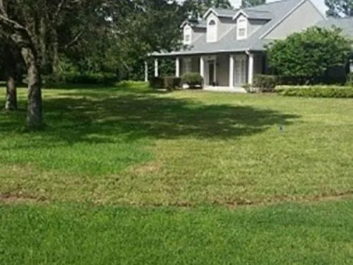 Large sod front lawn leading to a two story home