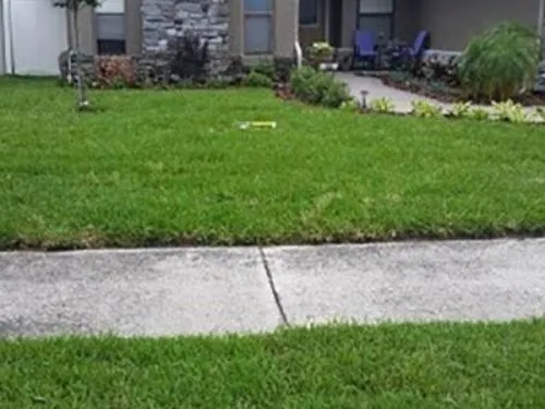 Sod front lawn between a sidewalk and a stone front porch