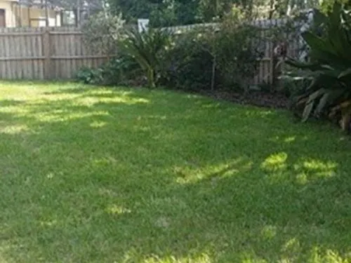 Shaded backyard sod lawn along a wood fence