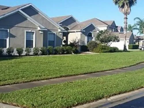 Sod lawn along a curving street of single family homes