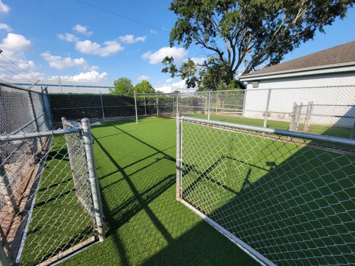 Consultation & Site Assessment