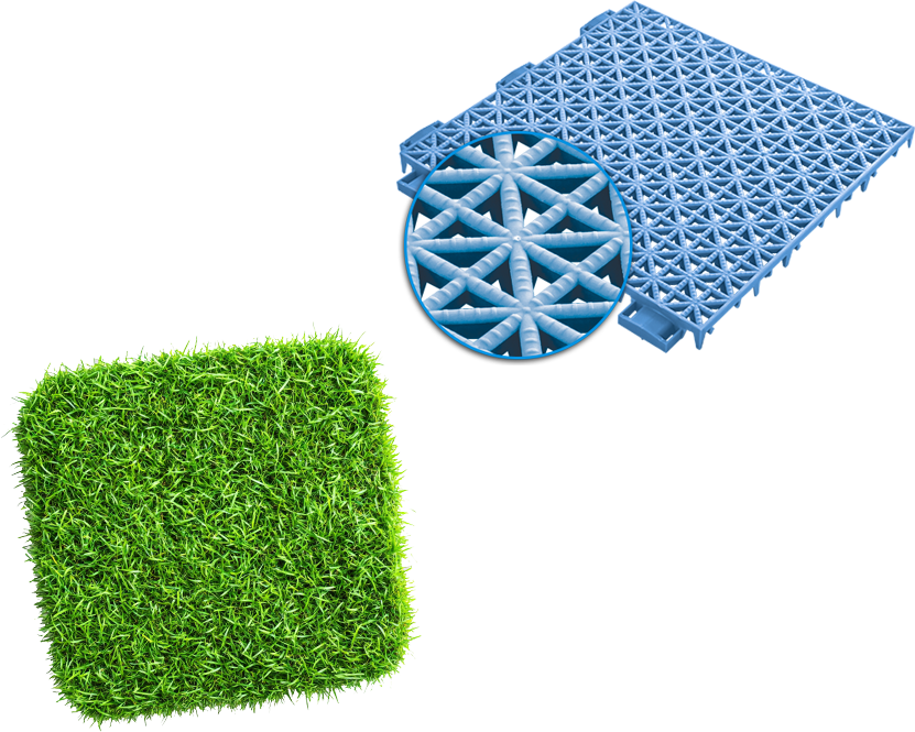Grass for Sporting events & tournaments