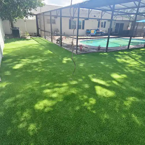 Artificial grass for pets beside a screened pool enclosure in an Orlando backyard